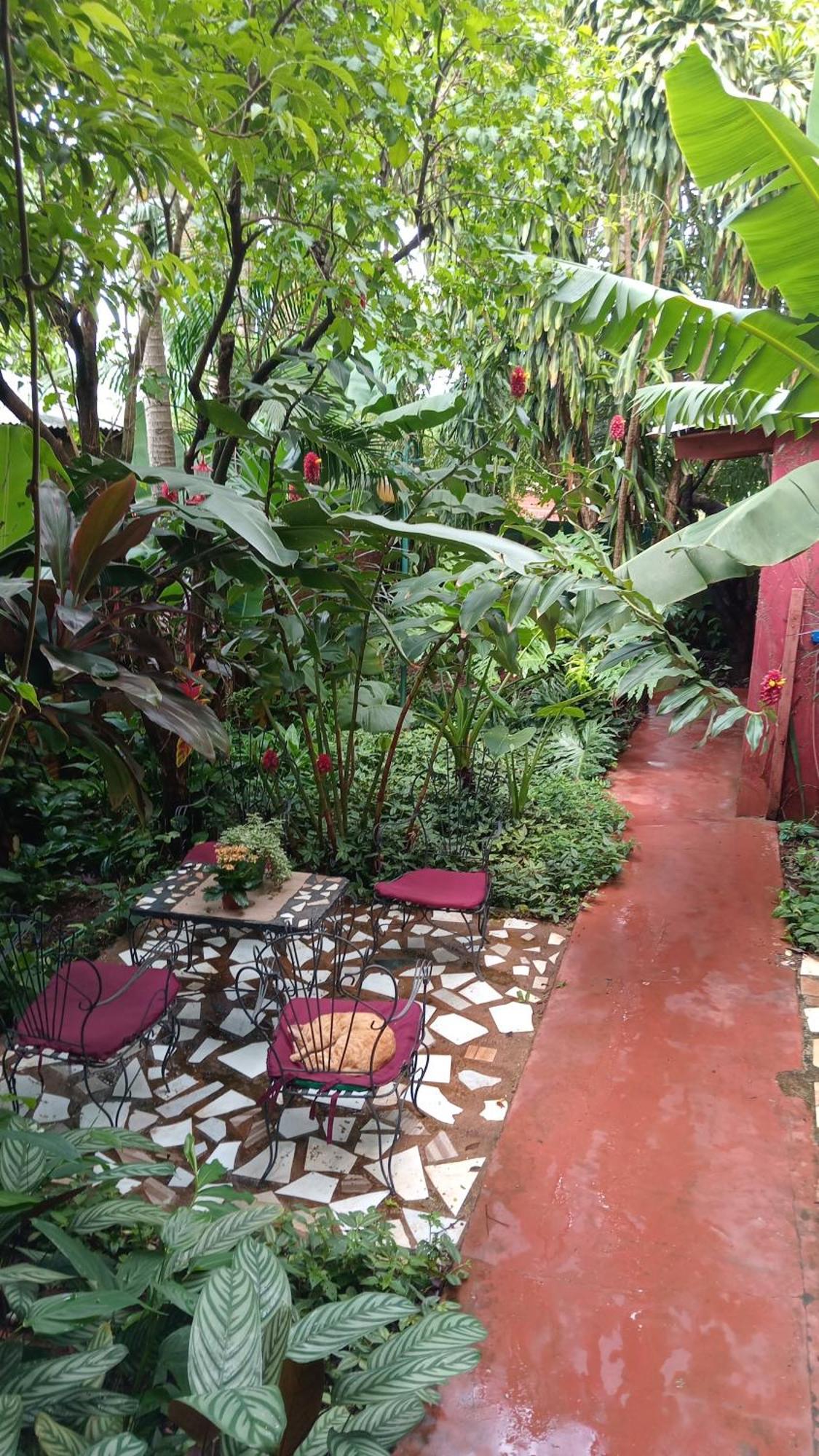 Posada Maria Iguazu Apartment Puerto Iguazu Exterior photo